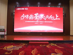 山东鼎基信息技术 引领临沂企业数字化转型，赋能全网优化与产品运营