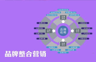 杭州畅聚科技 面向江山市的互联网推广策略与技术实践