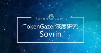 从TokenGazer深度研究看Sovrin 技术落地可期，但大规模推广之路任重道远