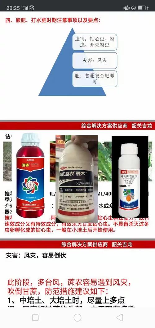 科技兴农 甜蜜事业——2019韶关吉龙农业产品推广与甘蔗栽培技术交流会纪实